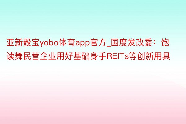 亚新骰宝yobo体育app官方_国度发改委：饱读舞民营企业用好基础身手REITs等创新用具