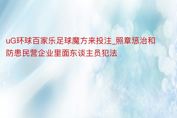 uG环球百家乐足球魔方来投注_照章惩治和防患民营企业里面东谈主员犯法