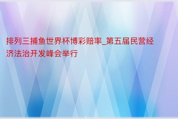 排列三捕鱼世界杯博彩赔率_第五届民营经济法治开发峰会举行