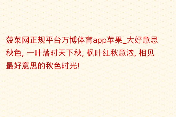 菠菜网正规平台万博体育app苹果_大好意思秋色, 一叶落时天下秋, 枫叶红秋意浓, 相见最好意思的秋色时光!