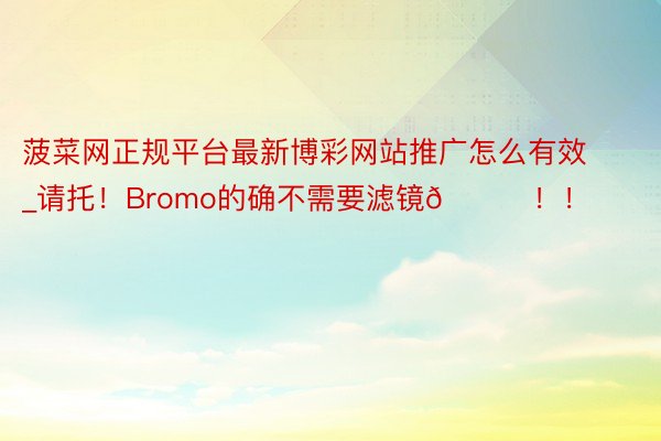 菠菜网正规平台最新博彩网站推广怎么有效_请托！Bromo的确不需要滤镜🌋！！