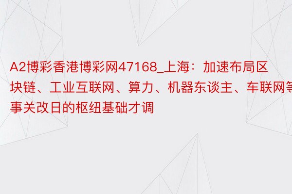 A2博彩香港博彩网47168_上海：加速布局区块链、工业互联网、算力、机器东谈主、车联网等事关改日的枢纽基础才调